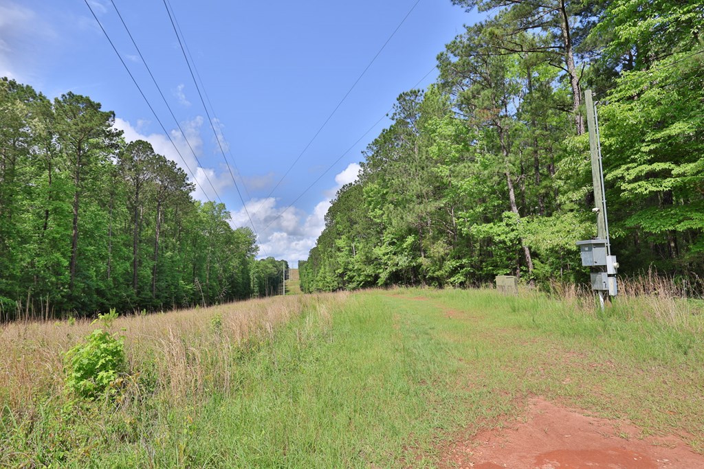 0 North Porter Road Shiloh, GA 31826 - Photo 21 of 32 Gallery Image 21