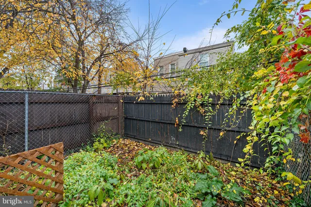 a view of a backyard