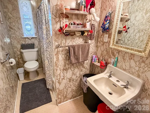 a bathroom with a sink toilet and vanity