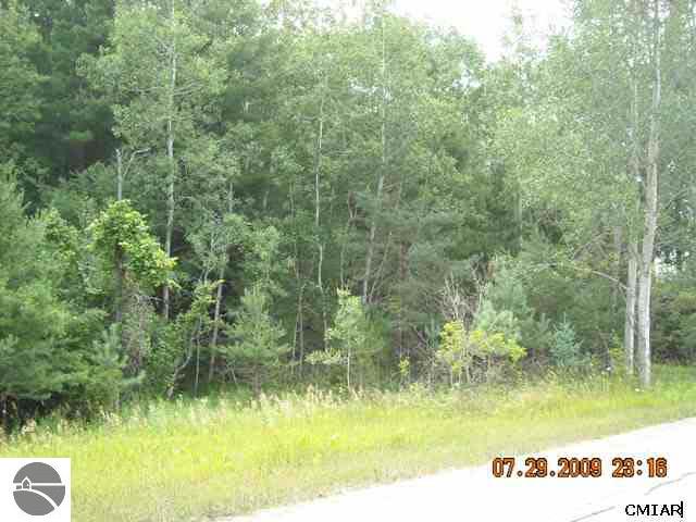 Tbd Cedar Street Blanchard, MI 49310 - Photo 2 of 6 1764404-1.JPG