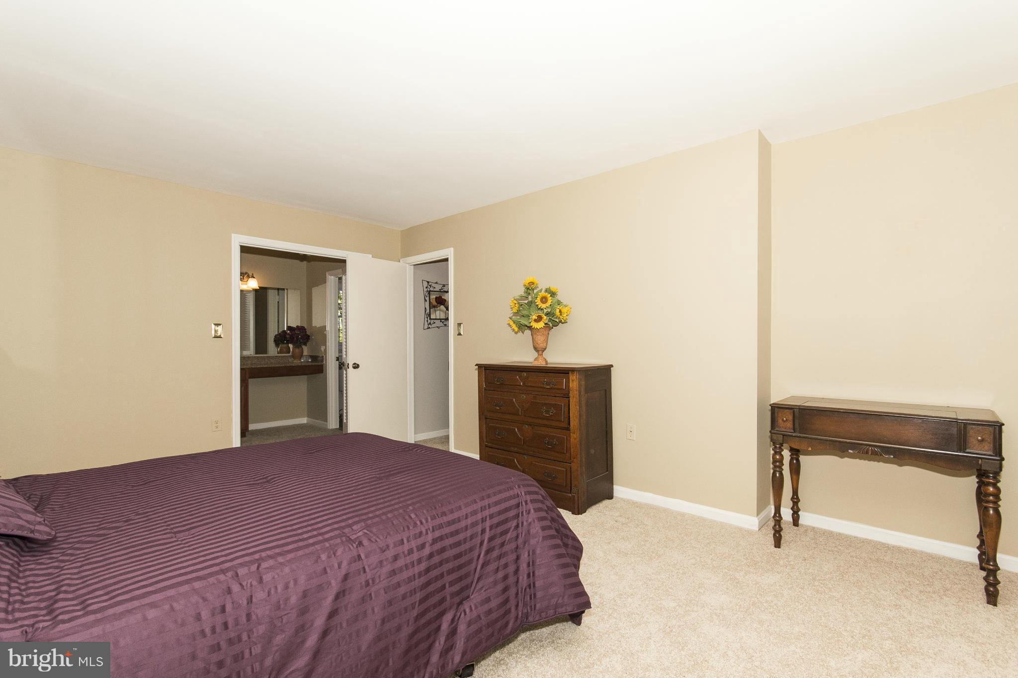 1609 Chester Mill Road Silver Spring, MD 20906 - Photo 15 of 27 Brand New Carpeting