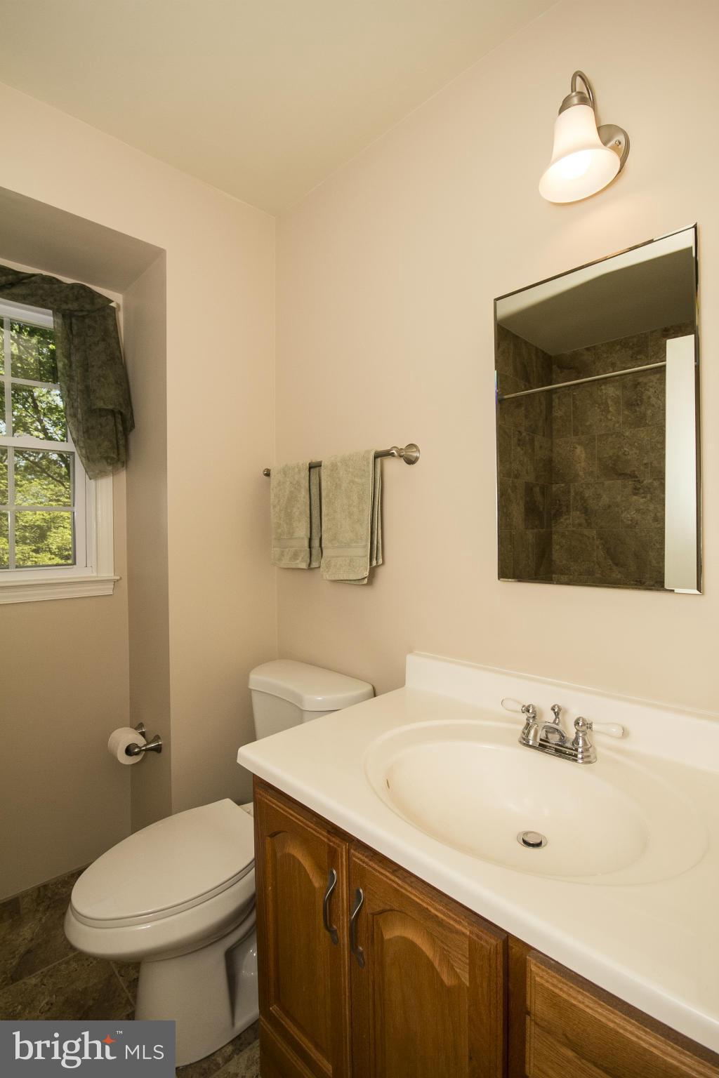 1609 Chester Mill Road Silver Spring, MD 20906 - Photo 22 of 27 Remodeled Hall Bath