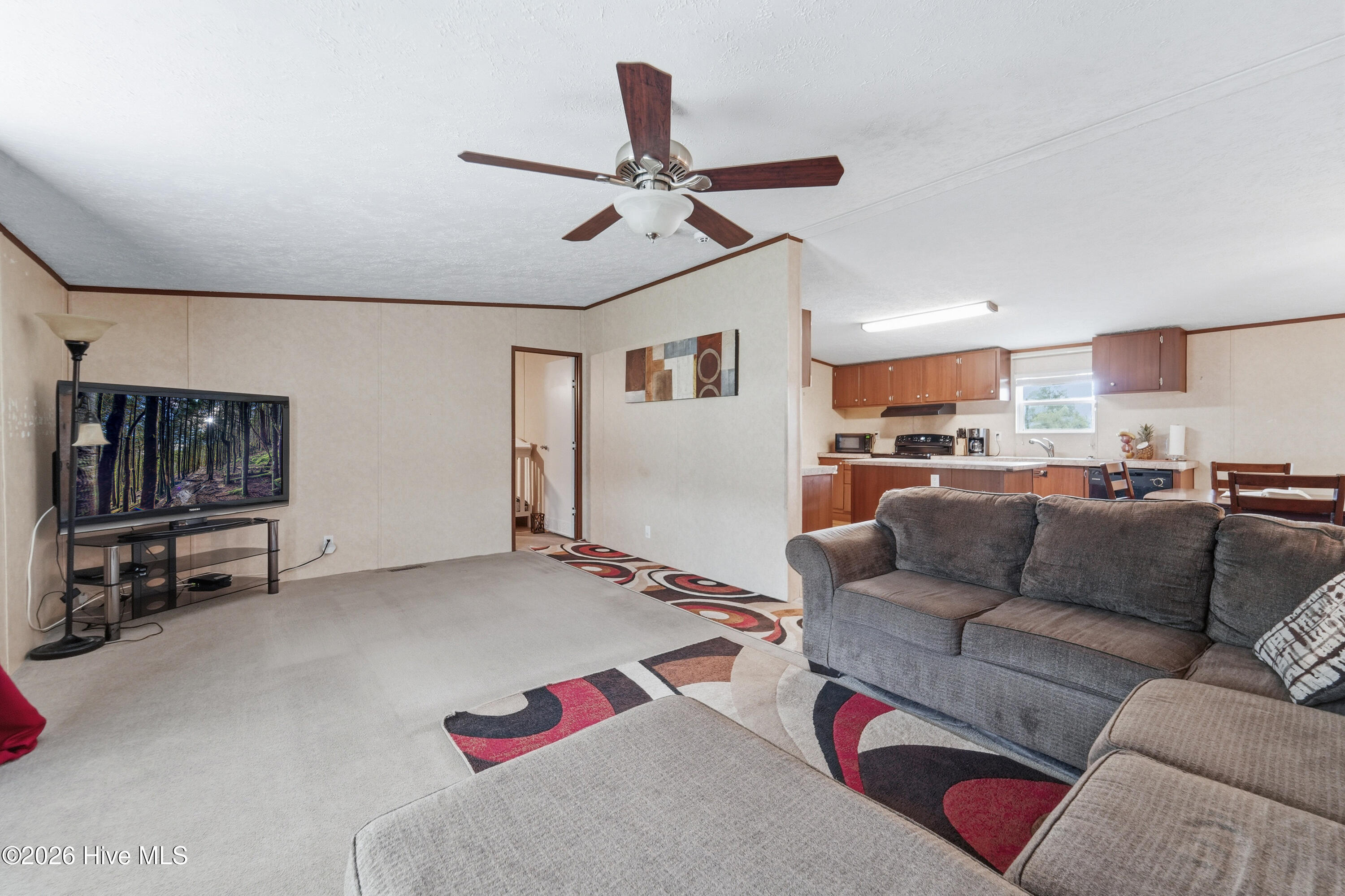 131 Thomas Roberts Road Magnolia, NC 28453 - Photo 9 of 51