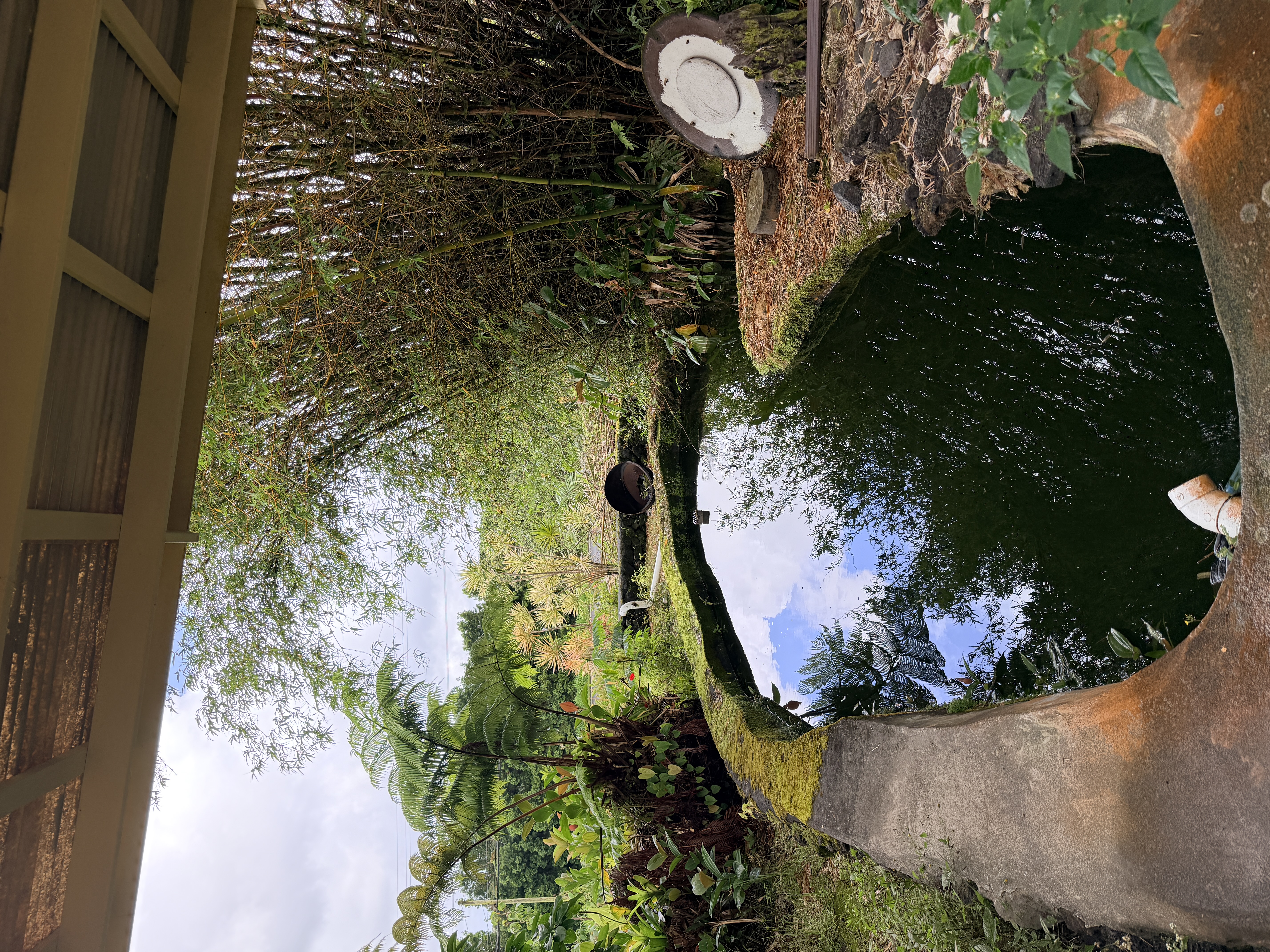 17-842 Volcano Road Kurtistown, HI 96760 - Photo 14 of 19