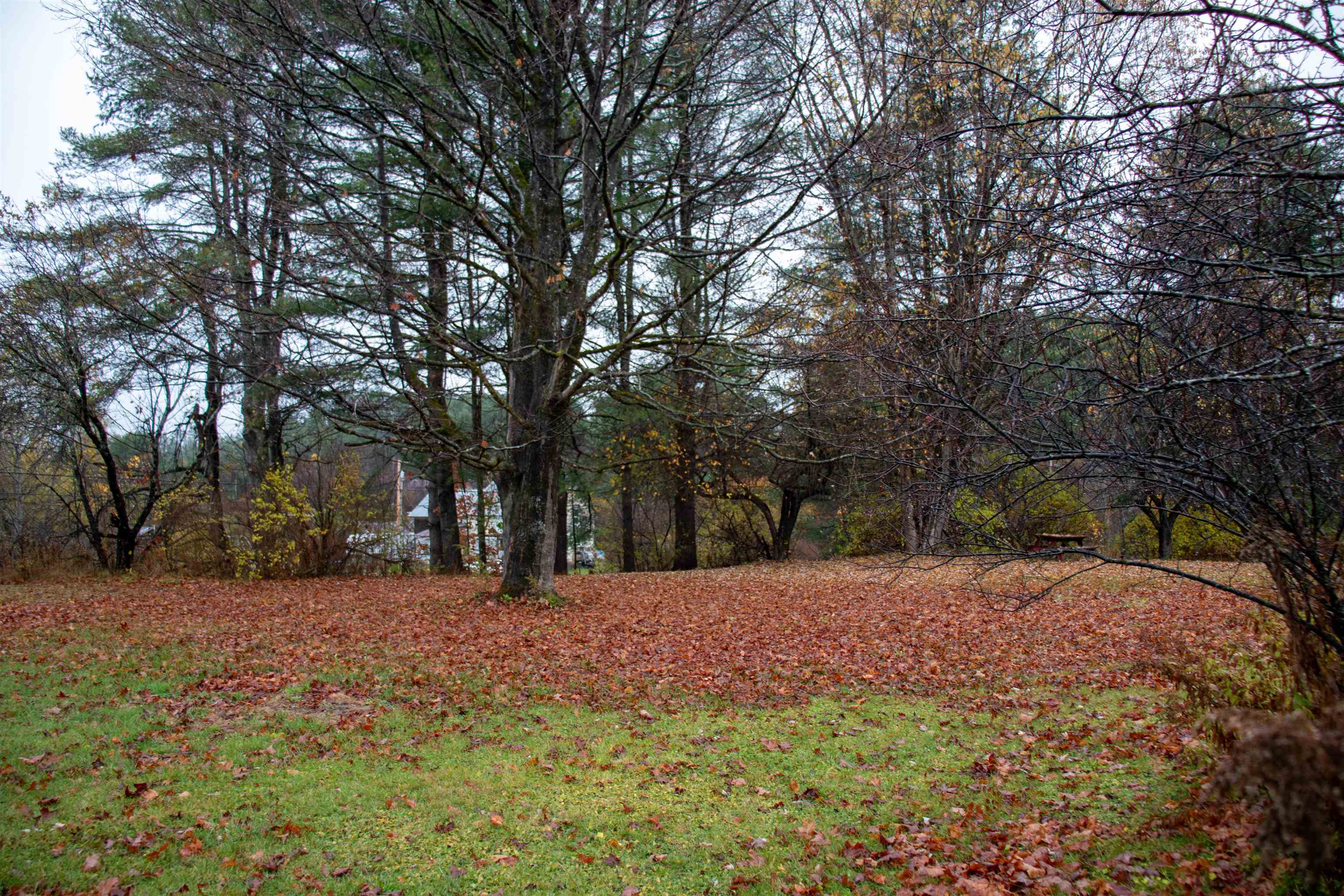 846 New Boston Road St. Johnsbury, VT 05819 - Photo 14 of 26