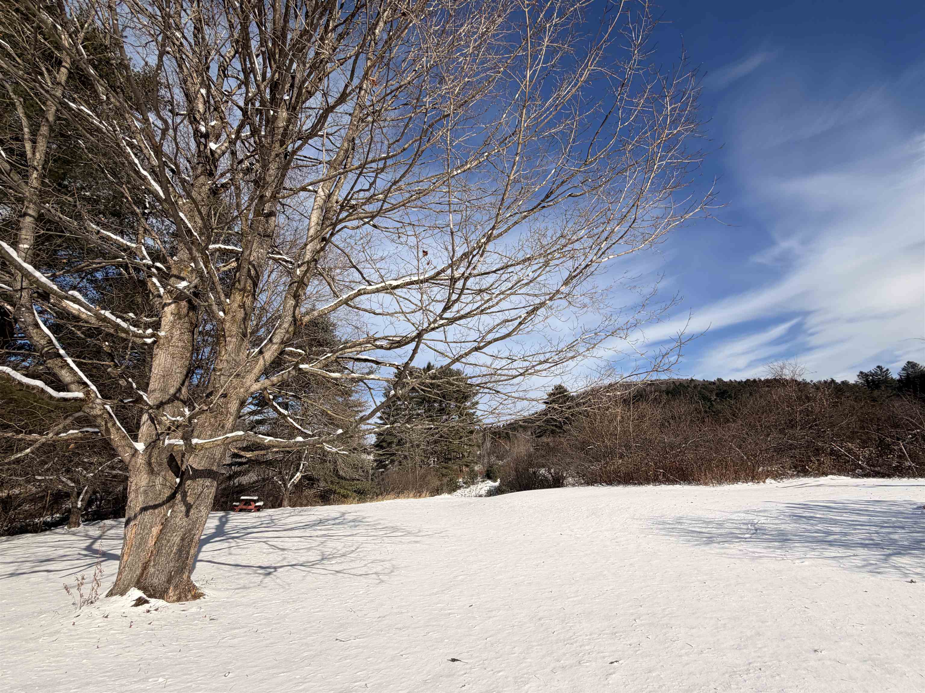 846 New Boston Road St. Johnsbury, VT 05819 - Photo 15 of 26