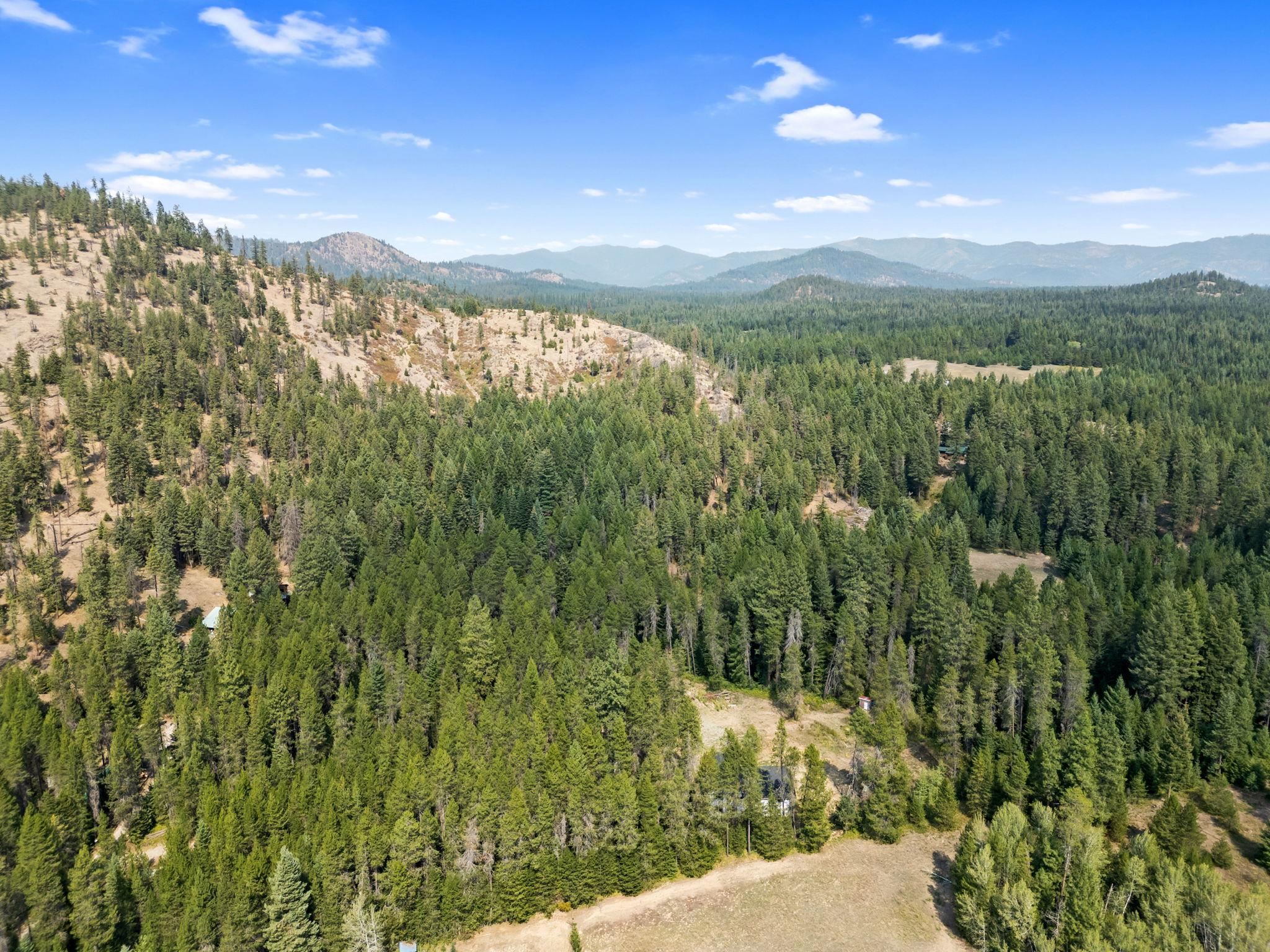 322 Triple D Lane Newport, WA 99156 - Photo 30 of 40