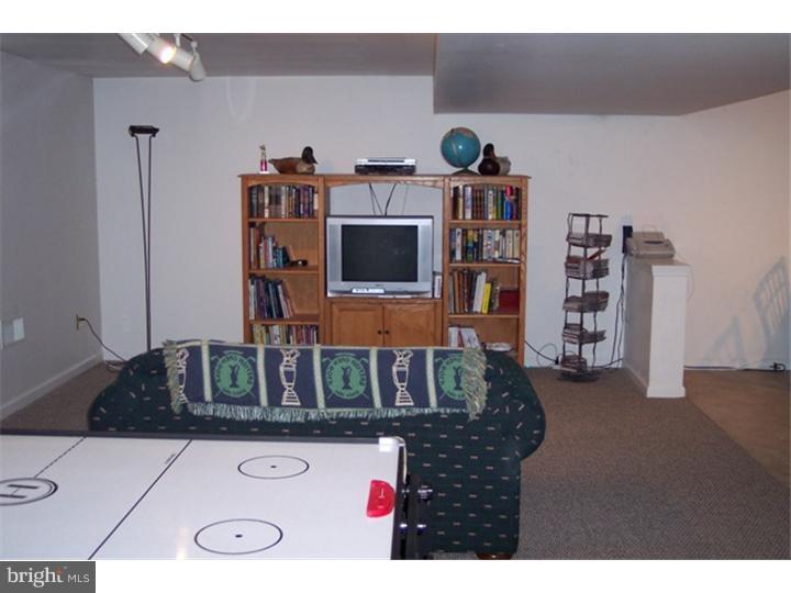9 St James Place Sinking Spring, PA 19608 - Photo 11 of 25 Rec Room