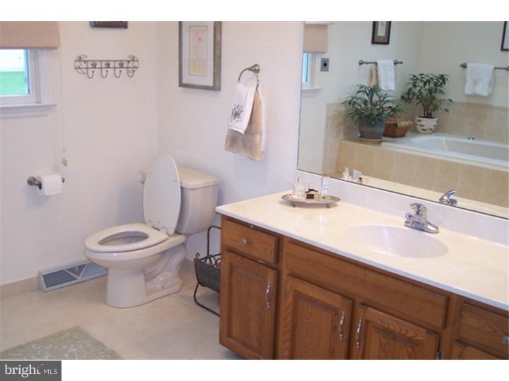 9 St James Place Sinking Spring, PA 19608 - Photo 15 of 25 Master Bathroom