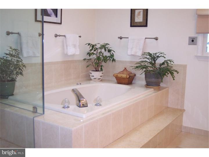 9 St James Place Sinking Spring, PA 19608 - Photo 16 of 25 Master Bathroom