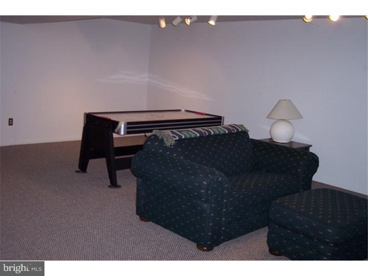 9 St James Place Sinking Spring, PA 19608 - Photo 10 of 25 Rec Room