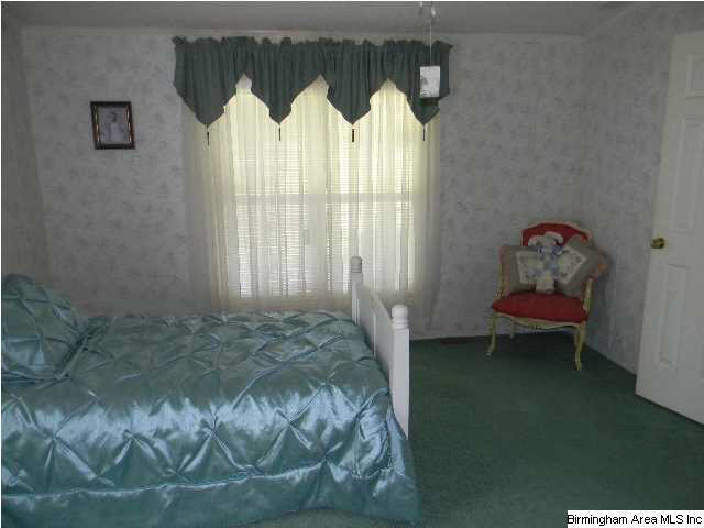 405 County Road 453 Clanton, AL 35046 - Photo 11 of 22