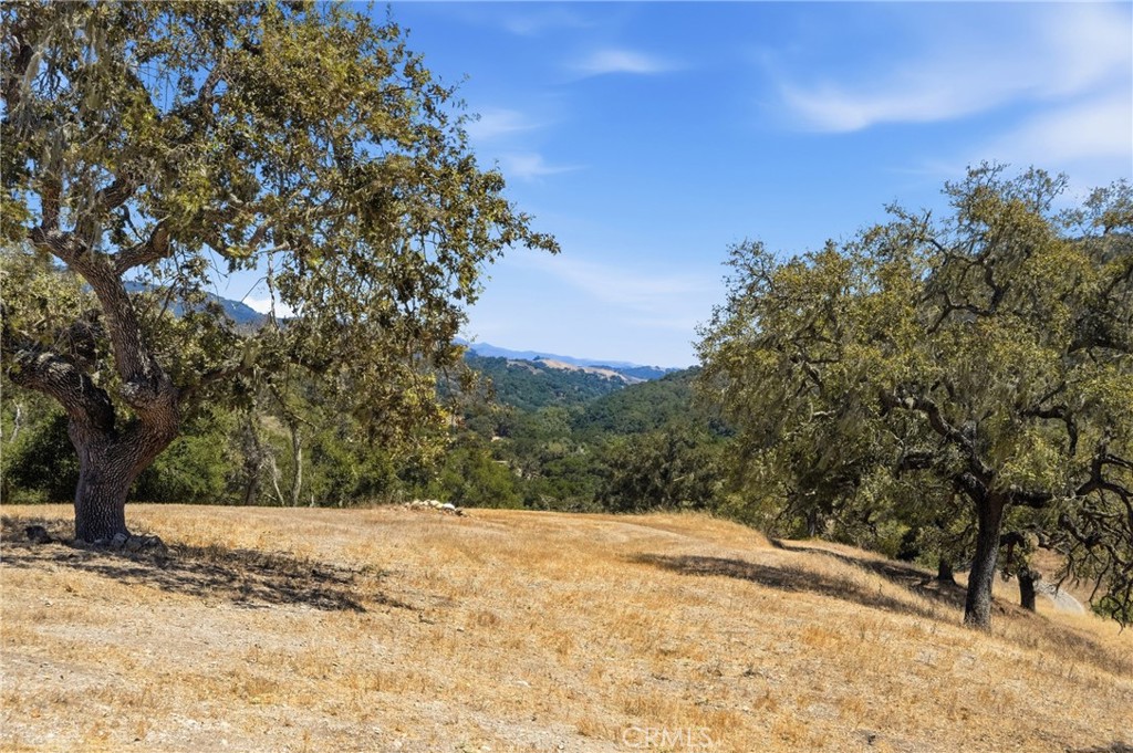 9875 Suey Creek Road Santa Maria, CA 93454 - Photo 39 of 72