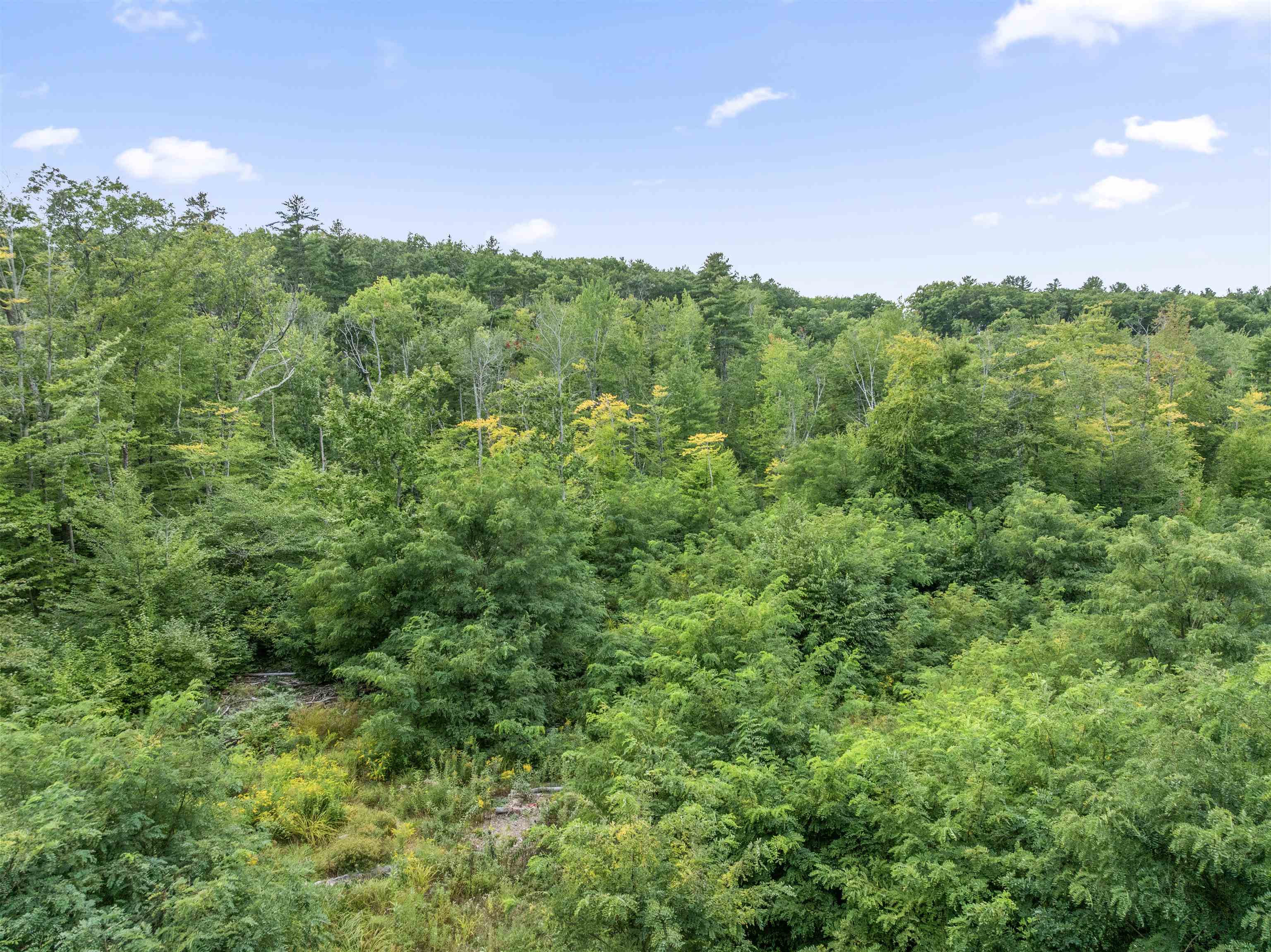 Tm165-l17 Plantation Road Laconia, NH 03246 - Photo 2 of 27 Gallery Image 2