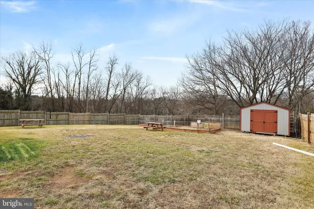 a view of a swimming pool and trees in the background