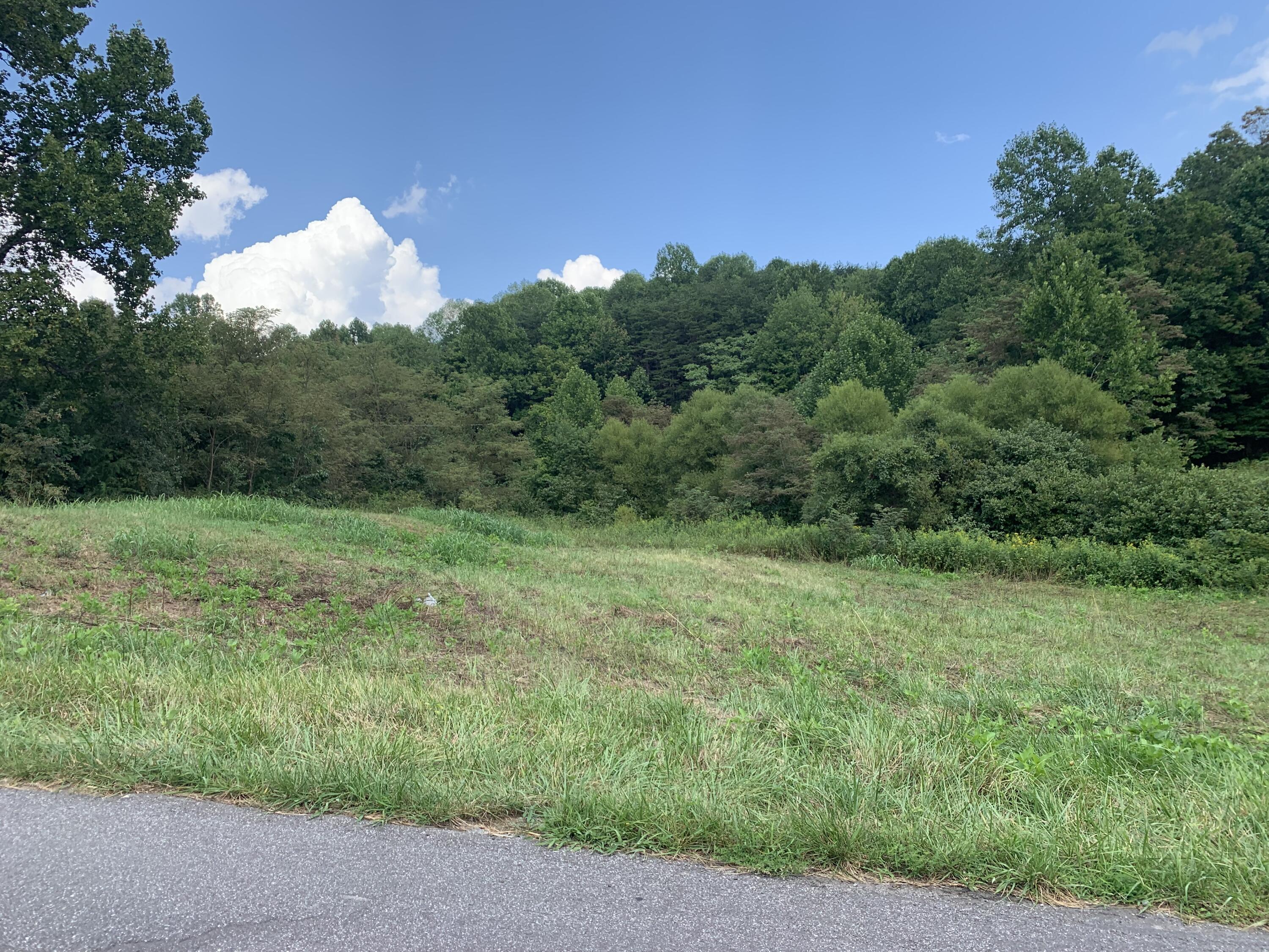 0 Monty Road Boones Mill, VA 24065 - Photo 2 of 6 pic 3