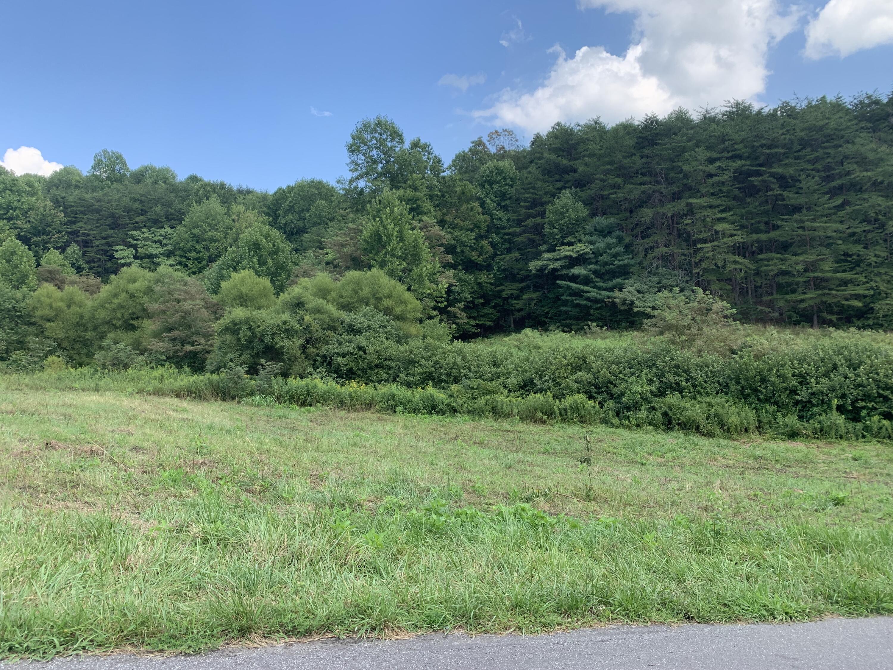 0 Monty Road Boones Mill, VA 24065 - Photo 3 of 6 pic 4