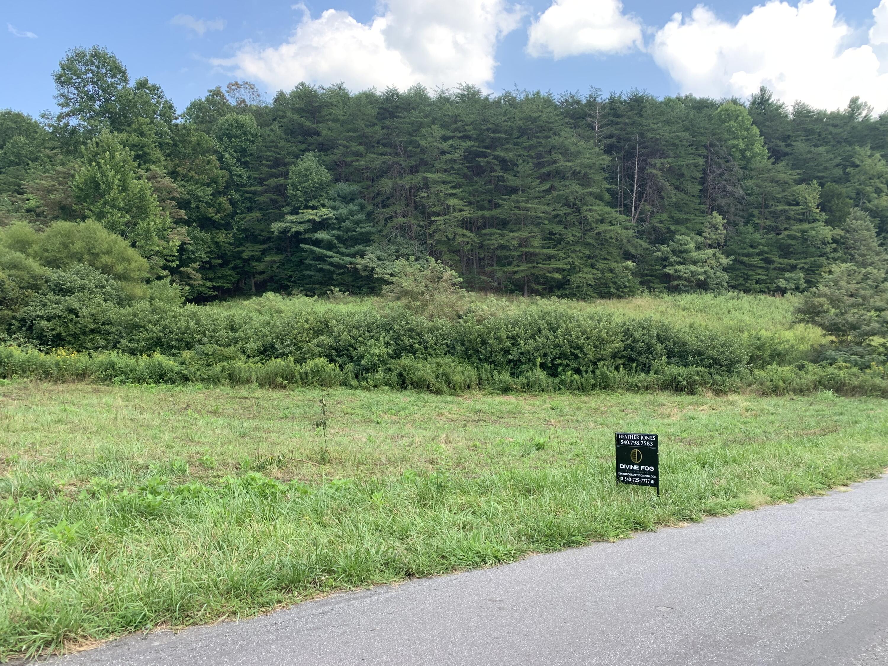 0 Monty Road Boones Mill, VA 24065 - Photo 4 of 6 pic 2