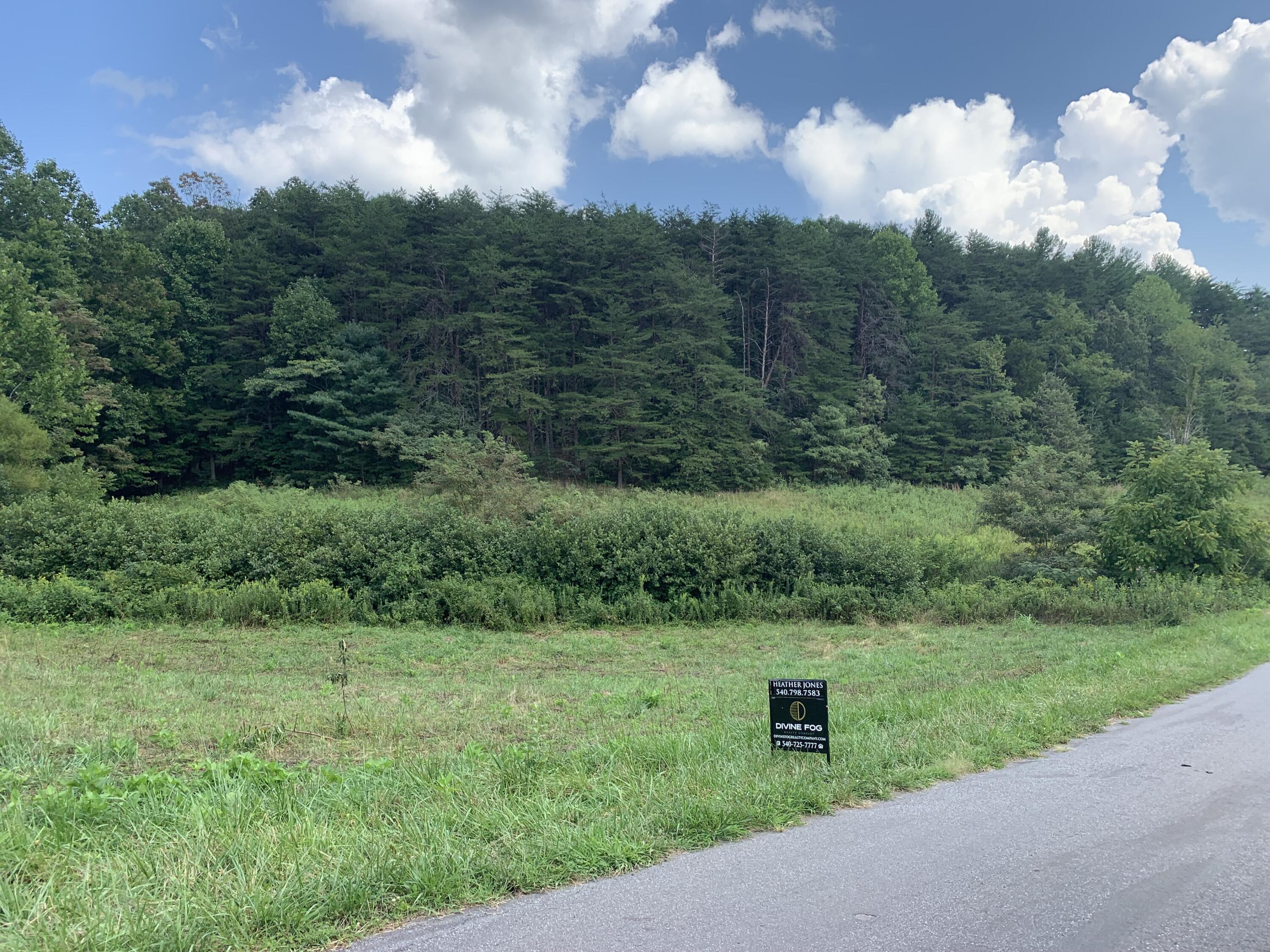 0 Monty Road Boones Mill, VA 24065 - Photo 5 of 6 pic 5