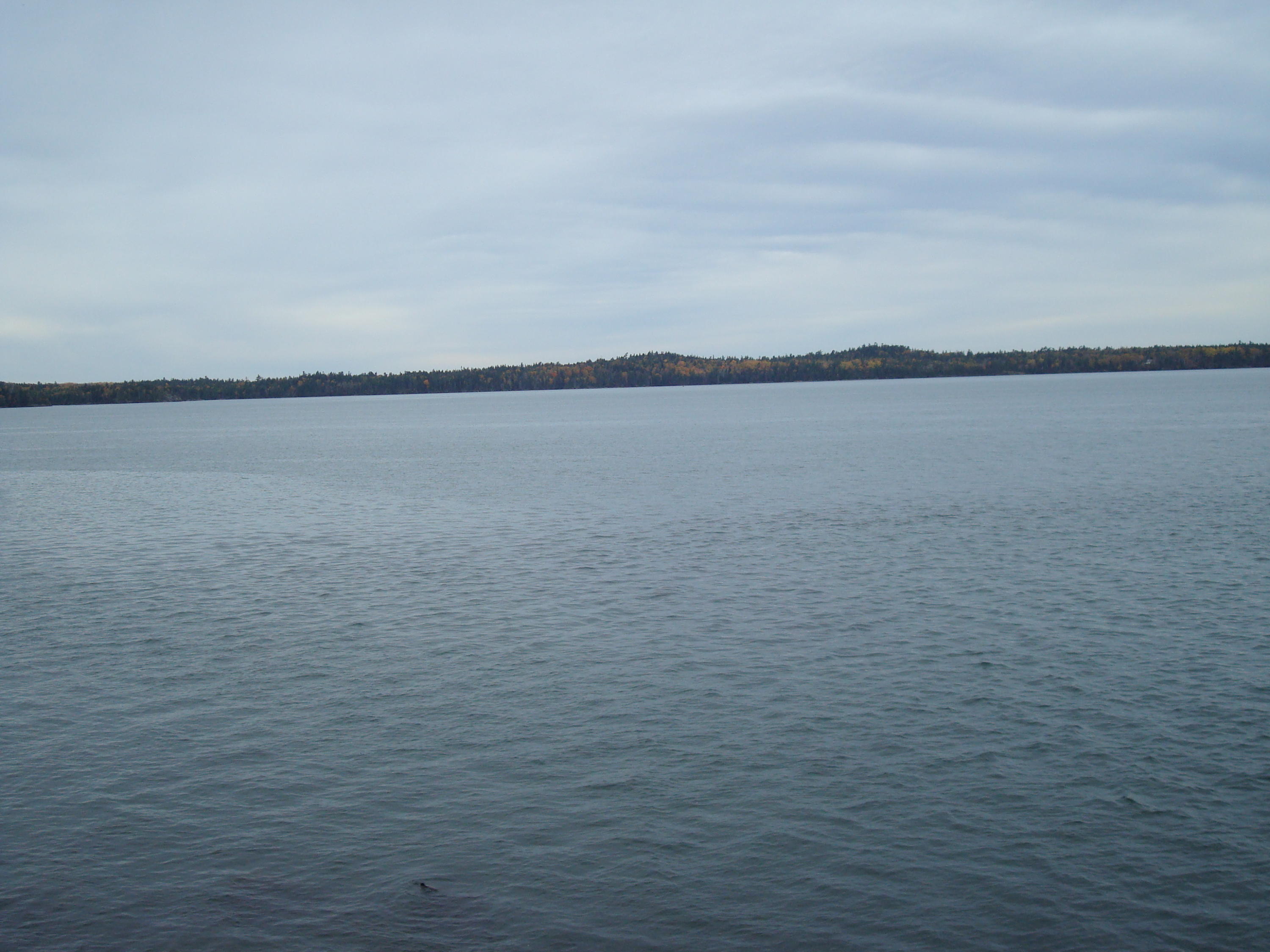 Lot 24-8 North Lubec Road Lubec, ME 04652 - Photo 4 of 10 DSC00014
