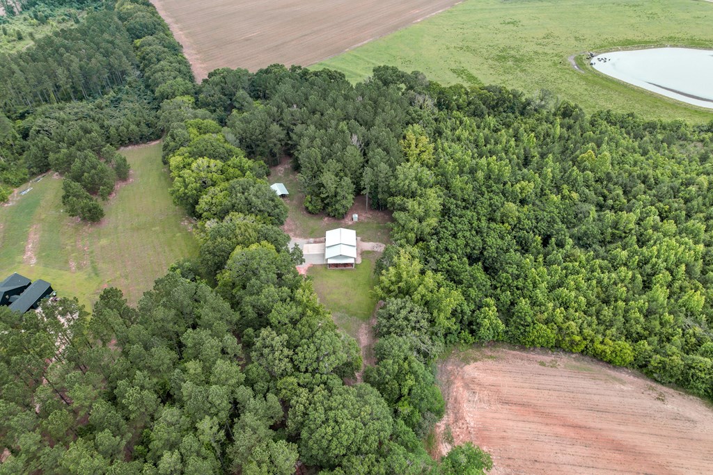 401 Macedonia Road Hartford, AL 36344 - Photo 18 of 61