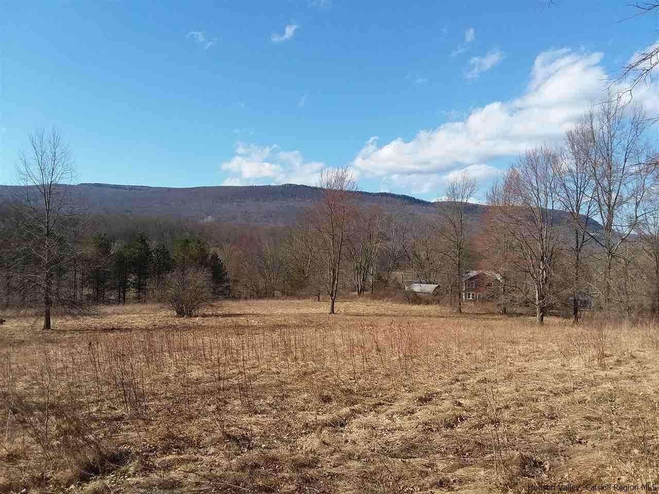 Tbd Saddleback Ridge Road Wallkill, NY 12589 - Photo 1 of 8 Photo 1