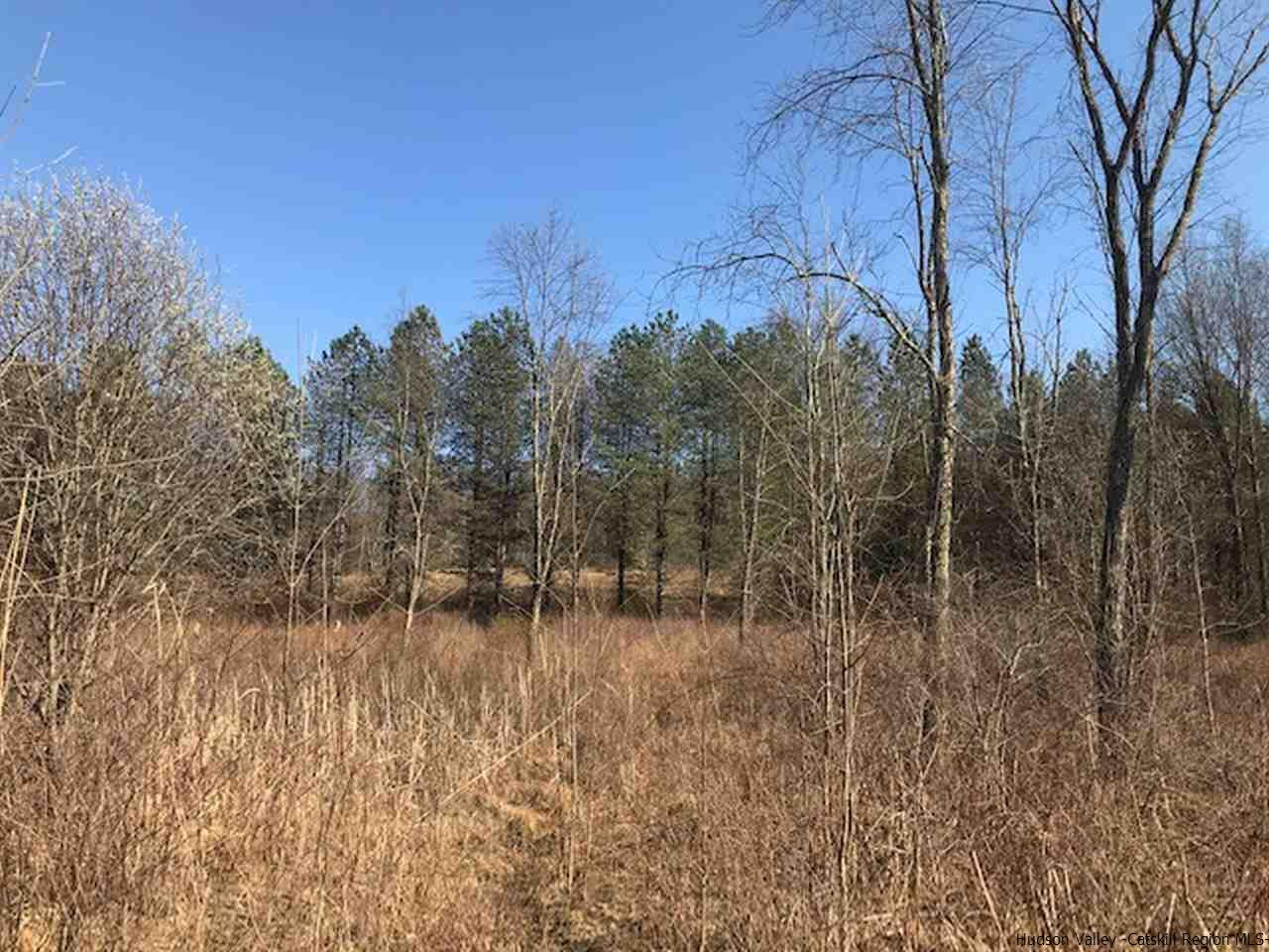 Tbd Saddleback Ridge Road Wallkill, NY 12589 - Photo 2 of 8 Photo 2