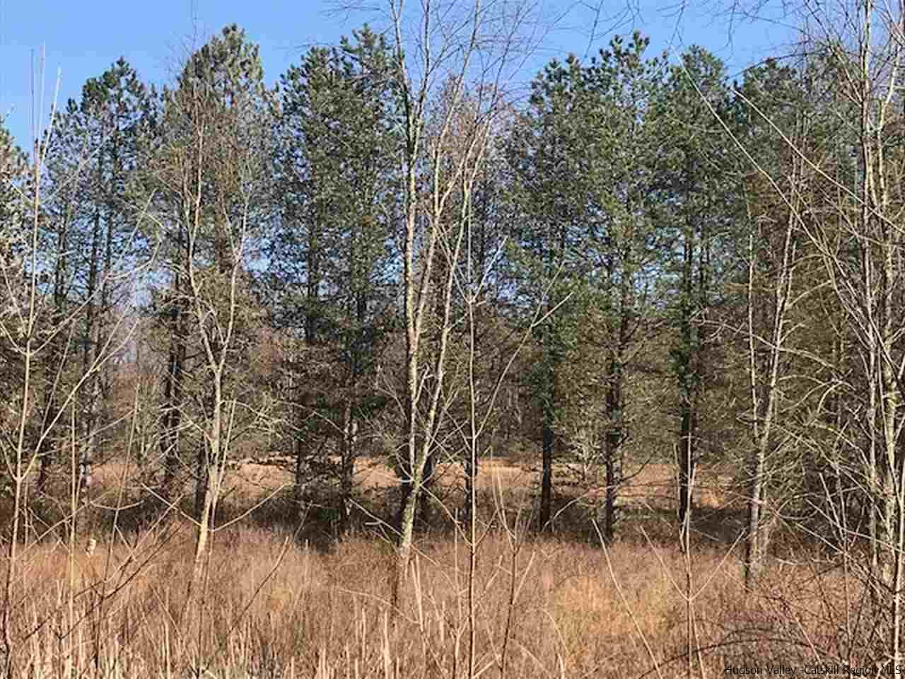 Tbd Saddleback Ridge Road Wallkill, NY 12589 - Photo 3 of 8 Photo 3
