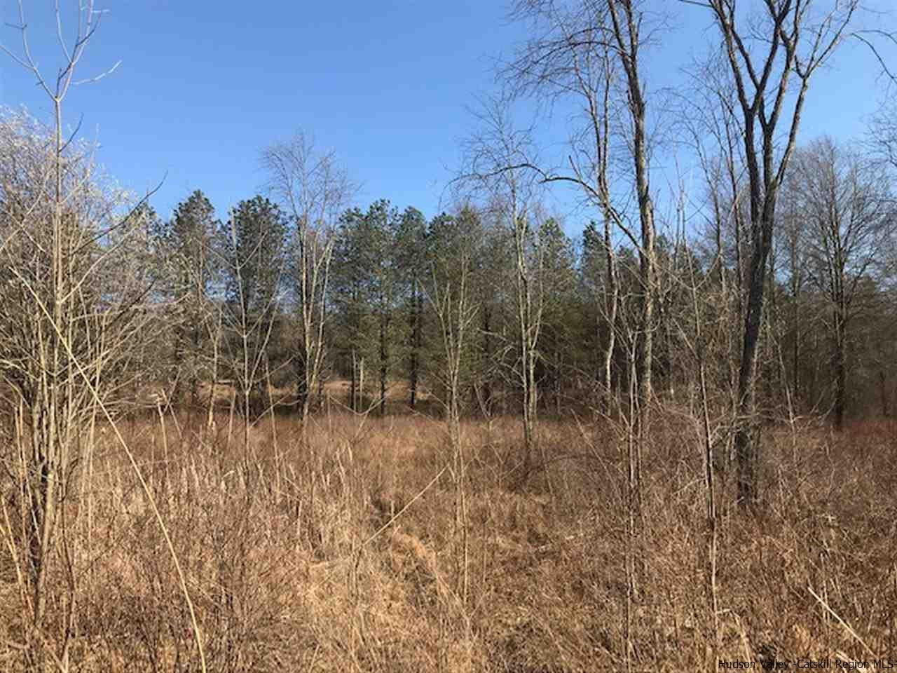 Tbd Saddleback Ridge Road Wallkill, NY 12589 - Photo 4 of 8 Photo 4