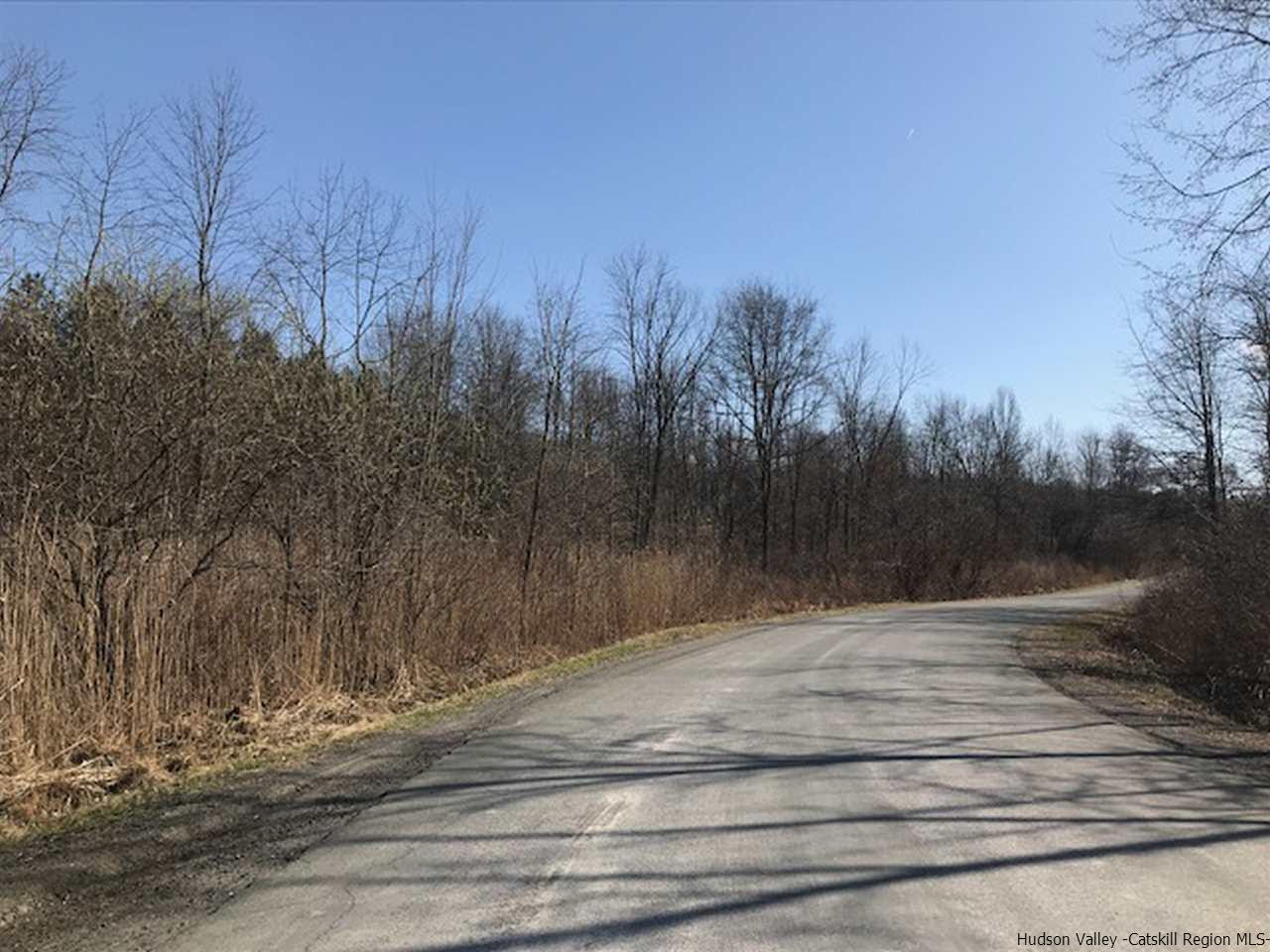 Tbd Saddleback Ridge Road Wallkill, NY 12589 - Photo 5 of 8 Photo 5