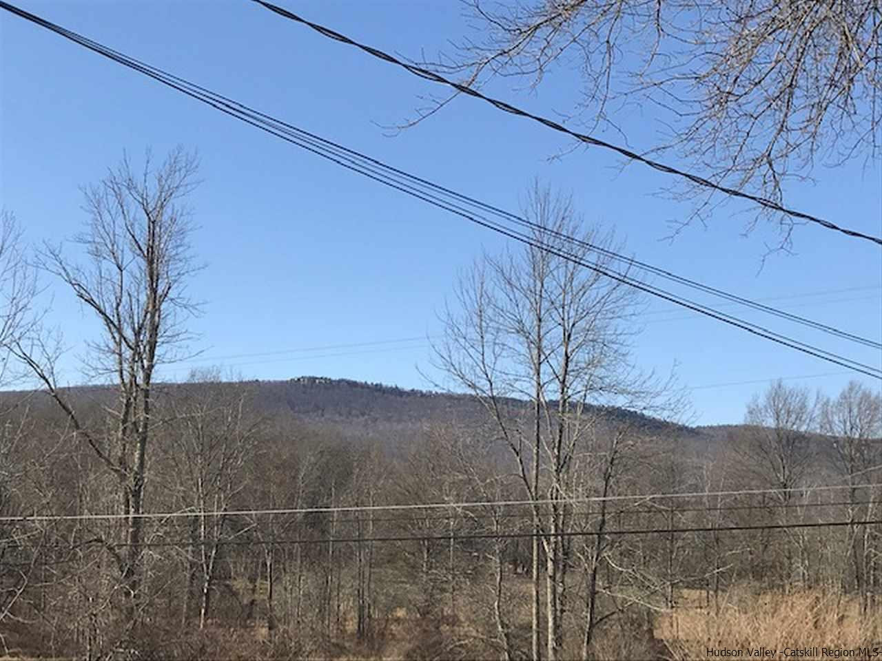 Tbd Saddleback Ridge Road Wallkill, NY 12589 - Photo 6 of 8 Photo 6