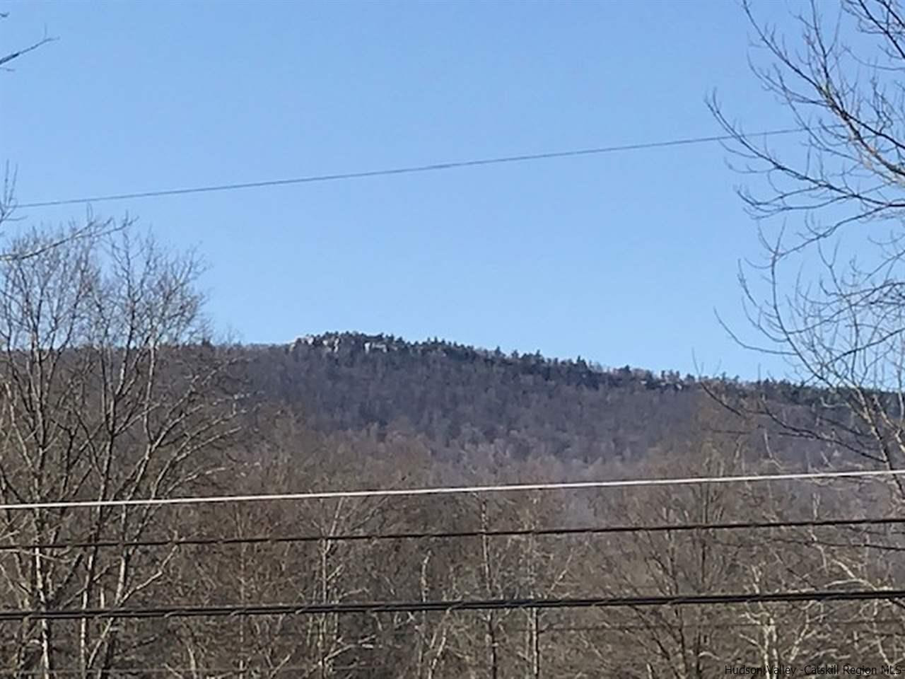 Tbd Saddleback Ridge Road Wallkill, NY 12589 - Photo 8 of 8 Photo 8