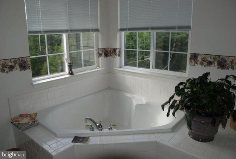 8580 Rothbury Drive Bristow, VA 20136 - Photo 10 of 10 Master Bath