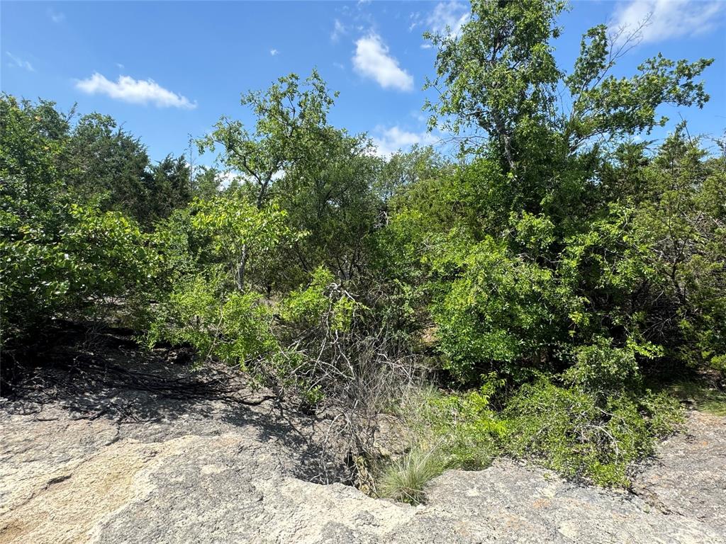 3233 Deer Path Lane Weatherford, TX 76085 - Photo 11 of 40
