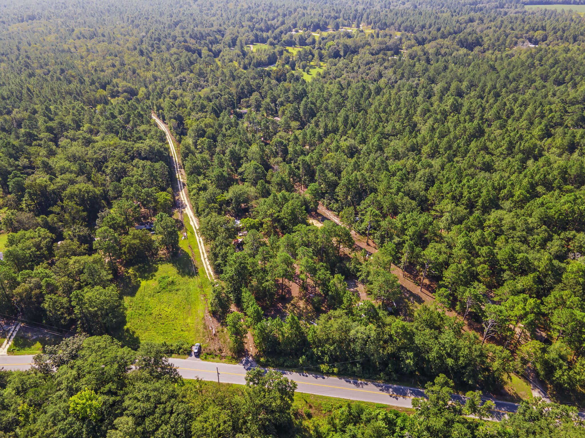 5603 Fish Hatchery Road Pelion, SC 29123 - Photo 4 of 14