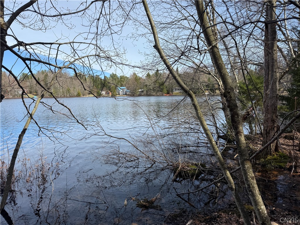 Lot 21 Deep Lake Road Forestport, NY 13338 - Photo 6 of 37 Waterfront View