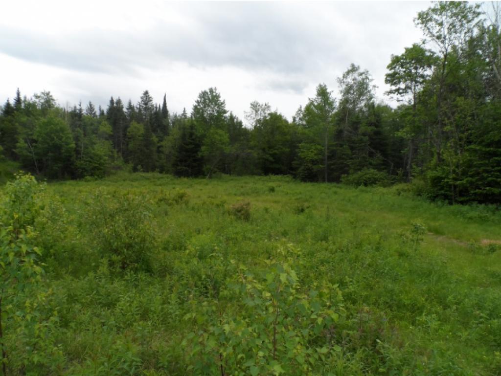 Lot 20 Gray Road Colebrook, NH 03576 - Photo 1 of 16