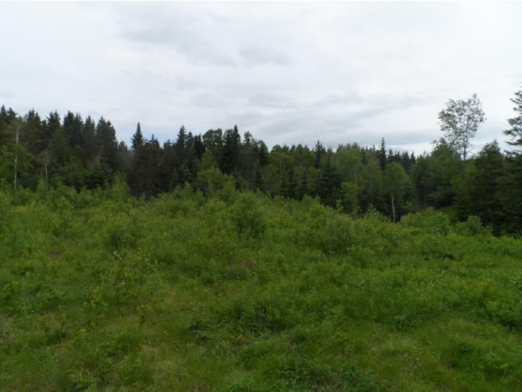 Lot 20 Gray Road Colebrook, NH 03576 - Photo 2 of 16