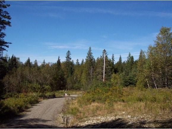 Lot 20 Gray Road Colebrook, NH 03576 - Photo 12 of 16