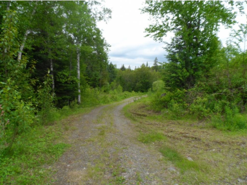 Lot 20 Gray Road Colebrook, NH 03576 - Photo 14 of 16