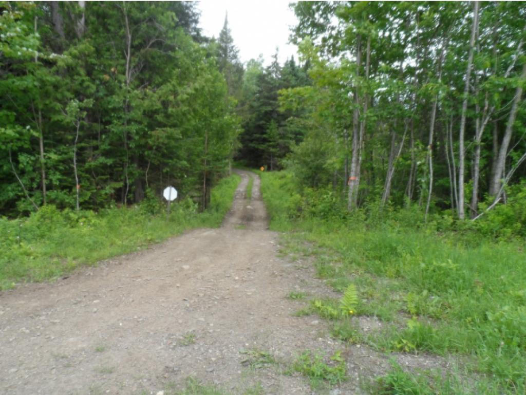 Lot 20 Gray Road Colebrook, NH 03576 - Photo 15 of 16