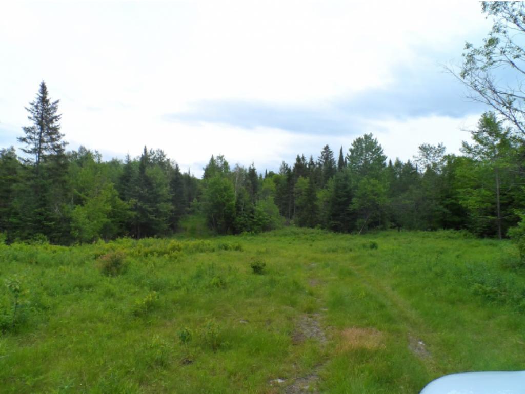 Lot 20 Gray Road Colebrook, NH 03576 - Photo 3 of 16
