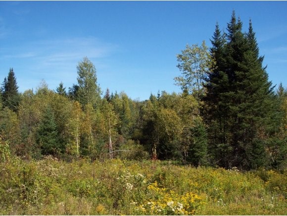 Lot 20 Gray Road Colebrook, NH 03576 - Photo 7 of 16