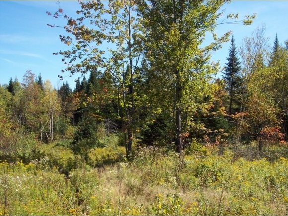 Lot 20 Gray Road Colebrook, NH 03576 - Photo 8 of 16