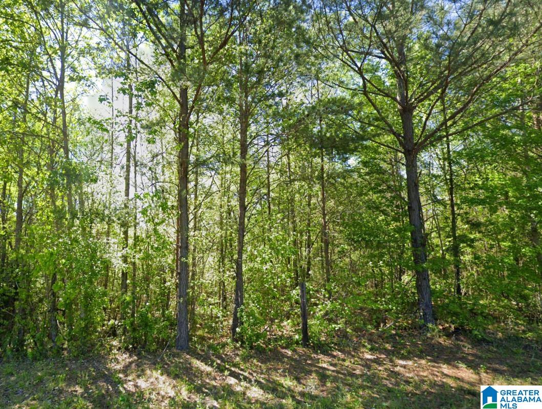 0 Glovers Ferry Road Alpine, AL 35014 - Photo 9 of 12