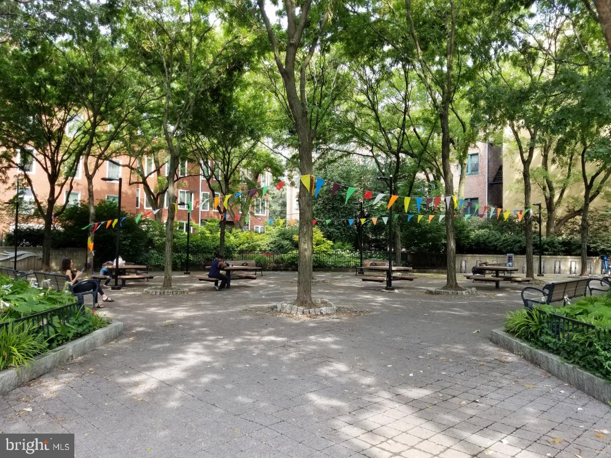 1108 Pine Street, Unit 3F Philadelphia, PA 19107 - Photo 9 of 10 a row of palm trees in a park