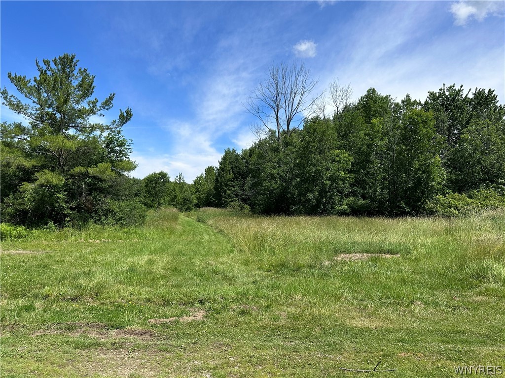 3052 Kulp Road Eden, NY 14057 - Photo 12 of 49