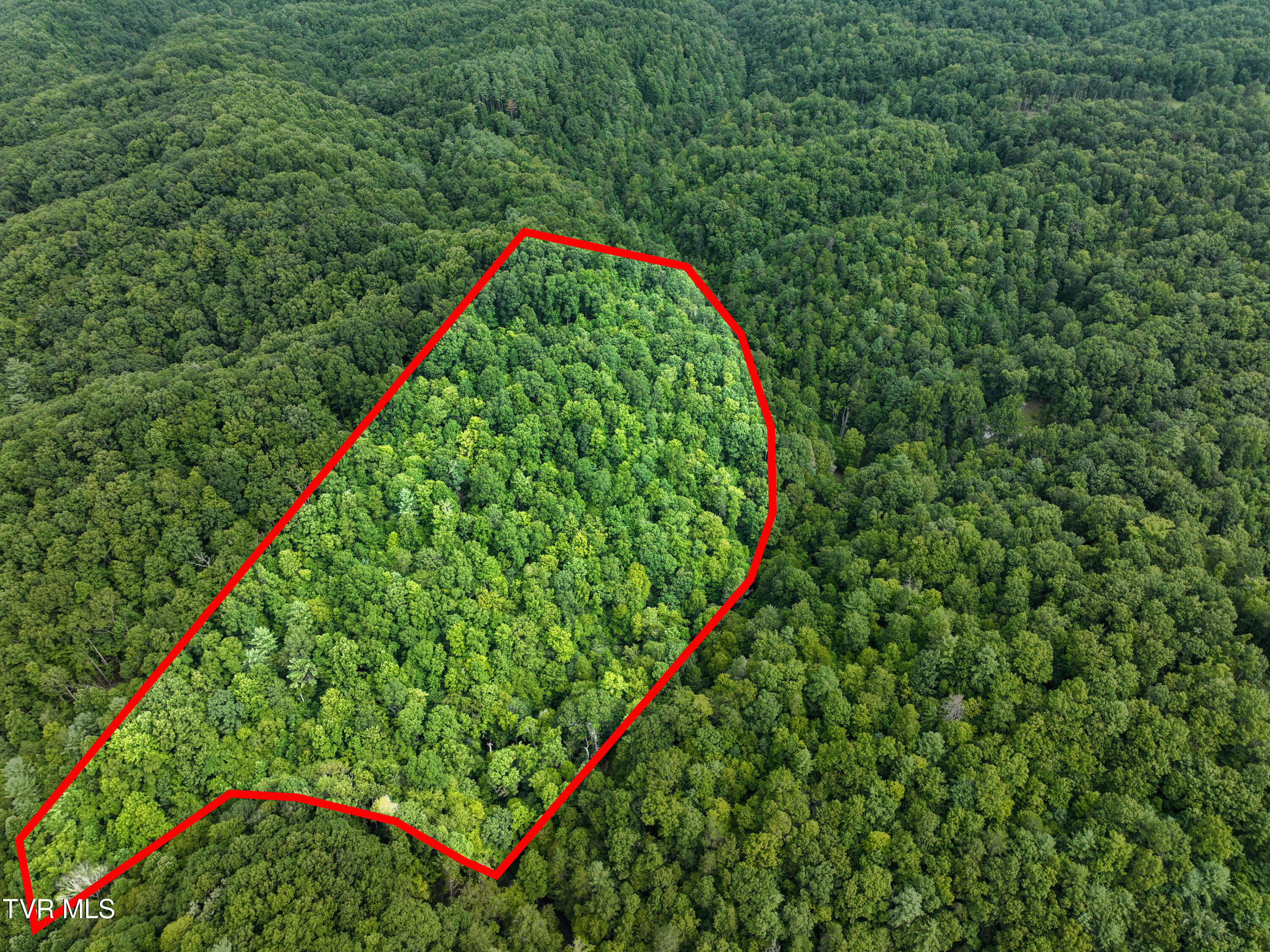 501 Denton Valley Road Bristol, TN 37620 - Photo 2 of 2 501 Denton Valley Rd Drone G UNIT-14 Pro