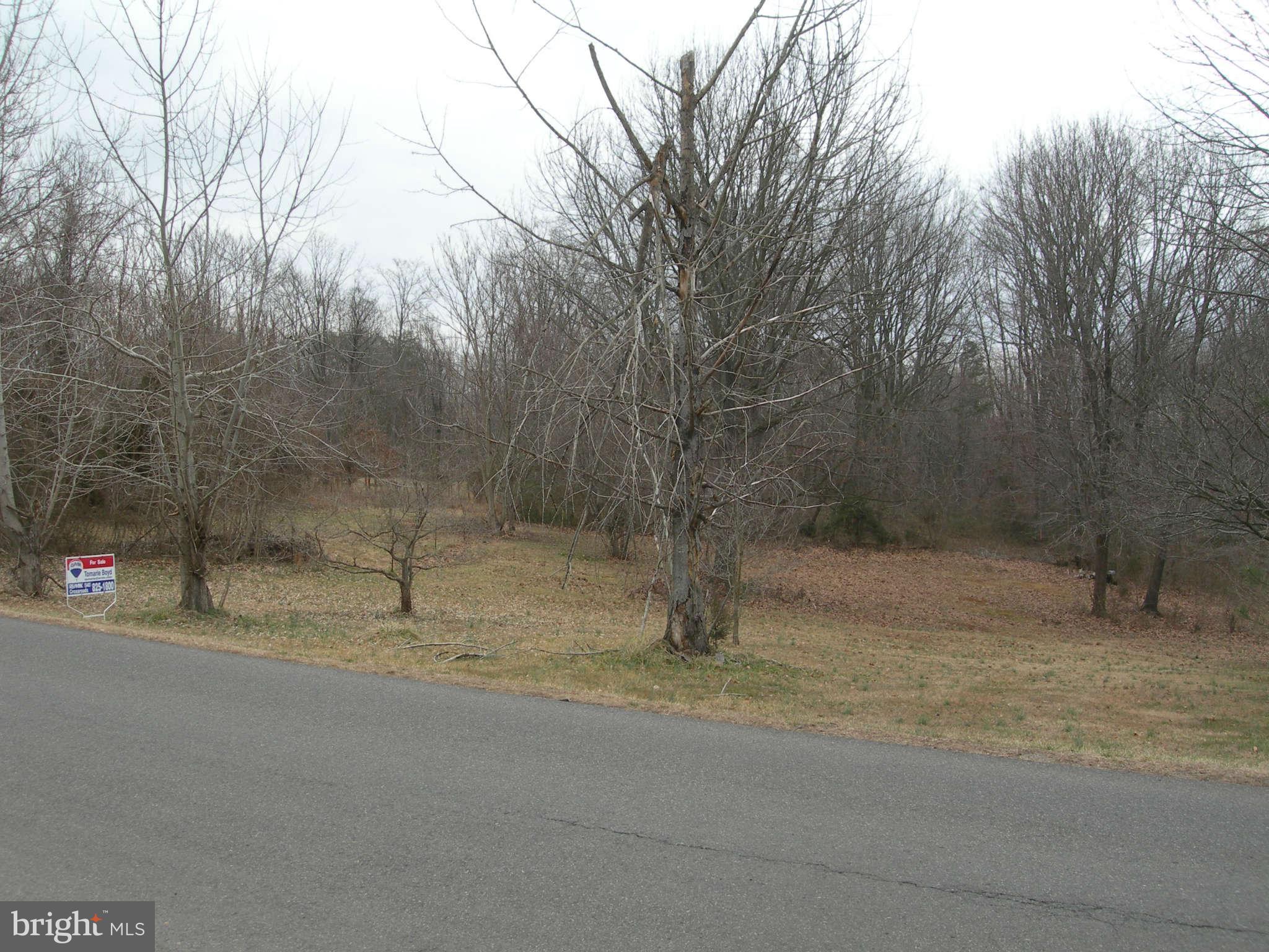 St Jameson Road Culpeper, VA 22701 - Photo 1 of 2 Exterior (Front)