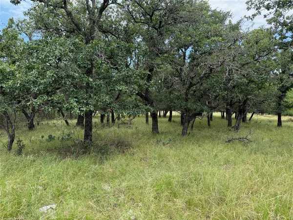 $15,000 | 32 Oak Bluff Circle, May, TX 76857